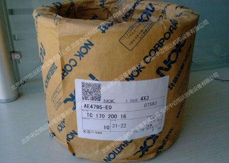 ձNOKͷAE4795-E0